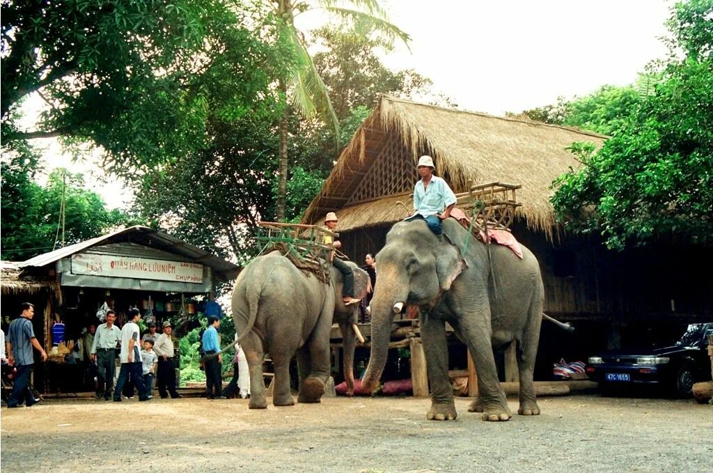 Village don. Даклак Вьетнам. Слоны во Вьетнаме. Вьетнам провинция Даклак народность. Hotel Red Elephant в Вьетнам.