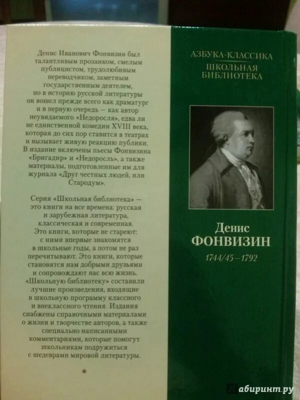 Фонвизин Недоросль книга. Недоросль обложка книги. Краткое содержание недоросль фонвизин очень кратко