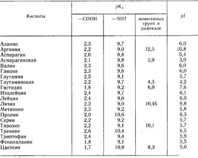 Таблица аминокислот биология