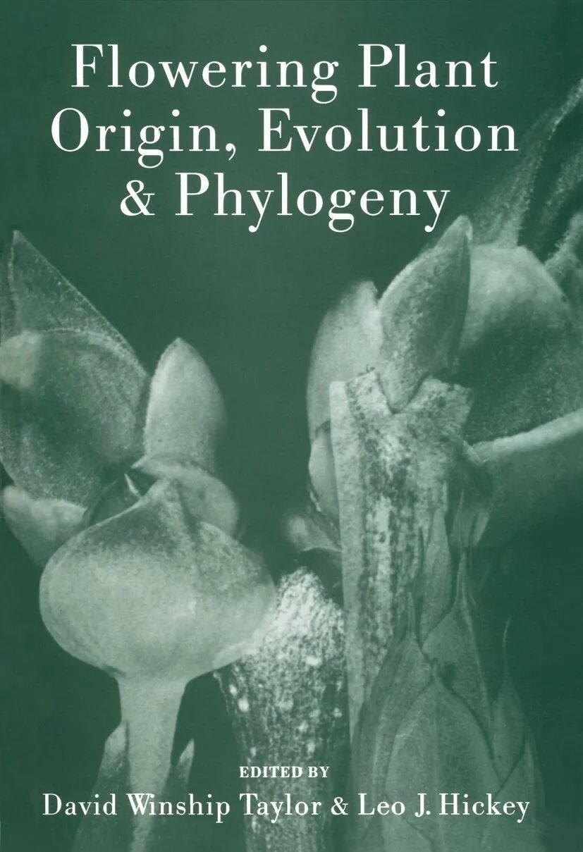 Plant origin. Origin of Plants. Origin Evolution of Plants. Origin Evolution of Plants перевод.