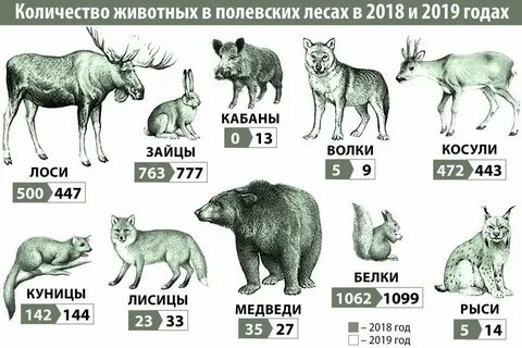 Сколько тварей