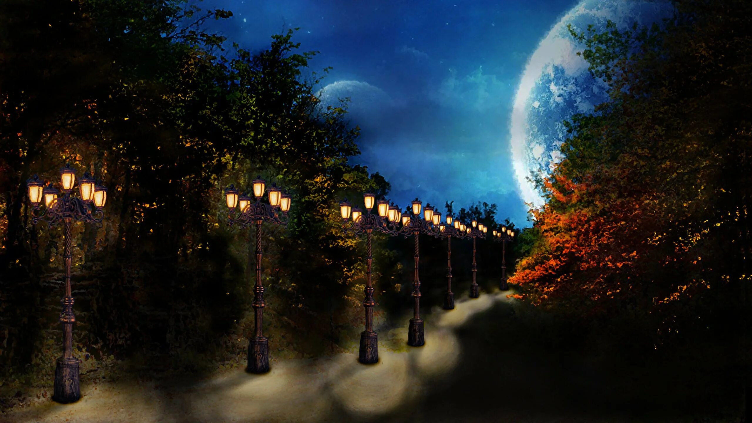 Осенняя ночь. Летняя ночь. Парк ночью. Красивые ночные пейзажи. Дерево освещенное луной