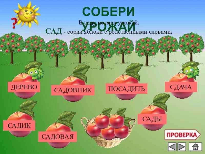 Другое значение слова сад. Яблоня родственные слова. Яблоко родственные слова. Собери урожай. Родственные слова к слову яблоня.