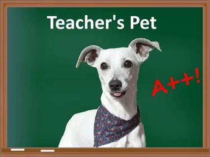 Teacher s pet