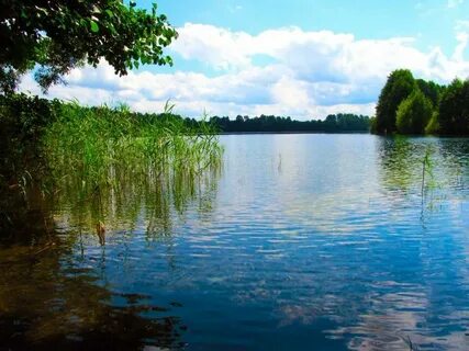 Водные беларусь