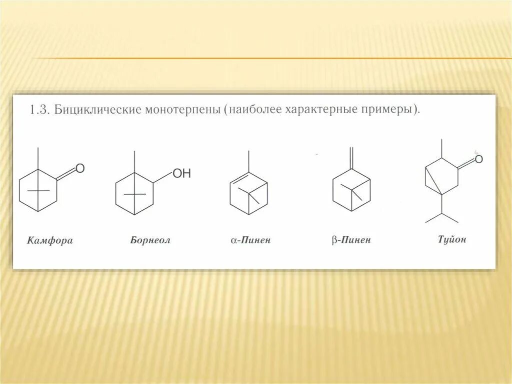 Камфора свойства. Бициклические монотерпены. Бициклические монотерпены формулы. Туйон формула. Камфора бициклический монотерпен.