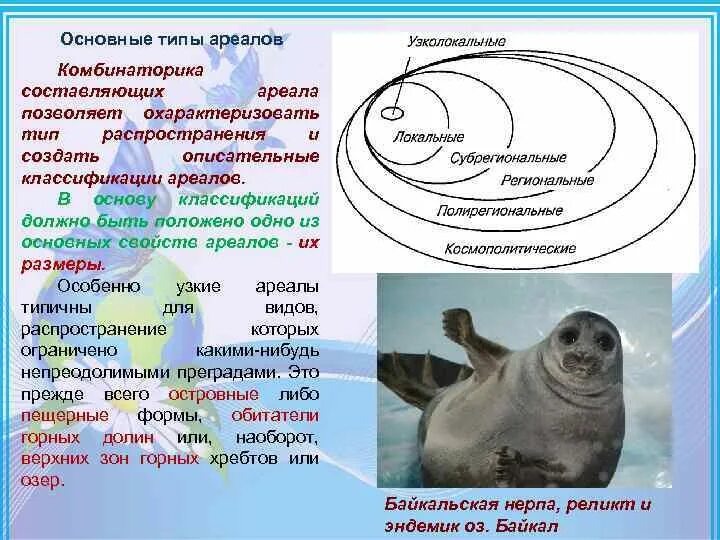 Размер ареала. Ареал распространения вида. Классификация ареалов по размерам. Границы ареала могут быть. Размеры ареалов.