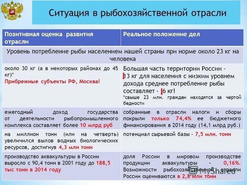 Оценка развития отрасли