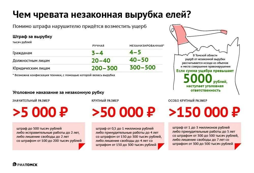 Штрафы 5 тыс рублей. Штрафы за незаконную вырубку леса. Штраф за вырубку деревьев. Какой штраф за незаконную вырубку деревьев. Штраф за вырубку елки.