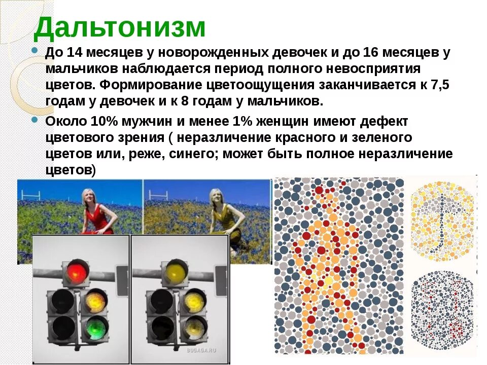 Дальтонизм. Цветовая слепота физиология. Дальтонизм заболевание. Генные заболевания дальтонизм.