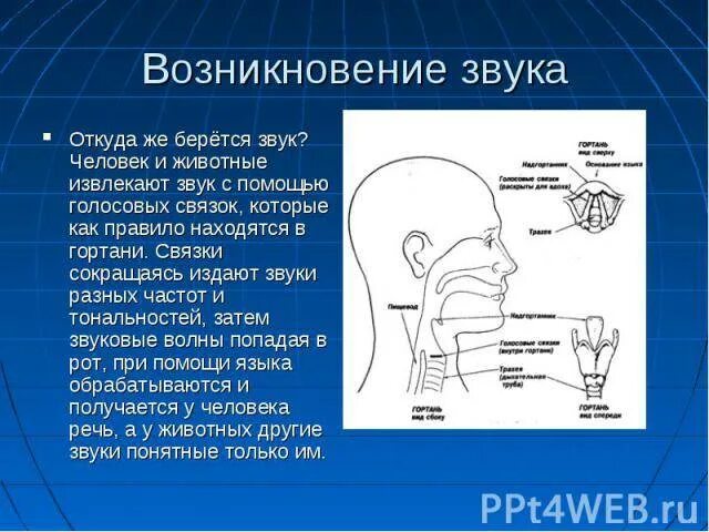 Как формируется звук с. Как создается звук. Как издается звук. Включи функцию звуками