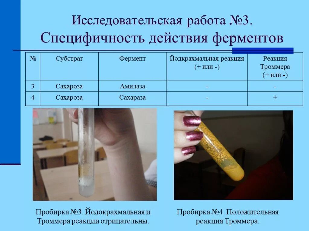 Лабораторная работа специфичность действия амилазы. Определение специфичности действия ферментов. Влияние активаторов и ингибиторов на активность амилазы. Специфичность действия амилазы слюны лабораторная.