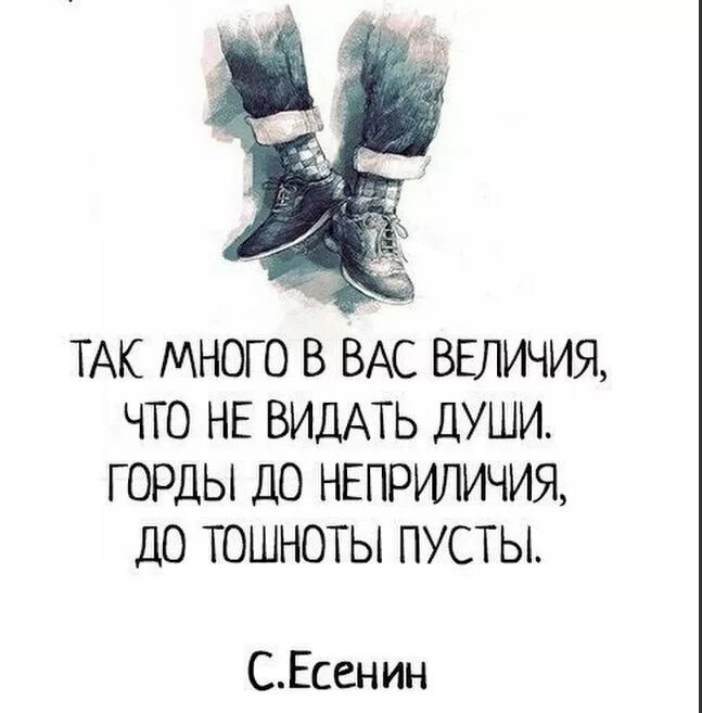 Видай что значит. Так много в вас величия. Цитаты: так много в вас величия. Так много в вас величия что не видать души. Горды до неприличия до тошноты пусты.