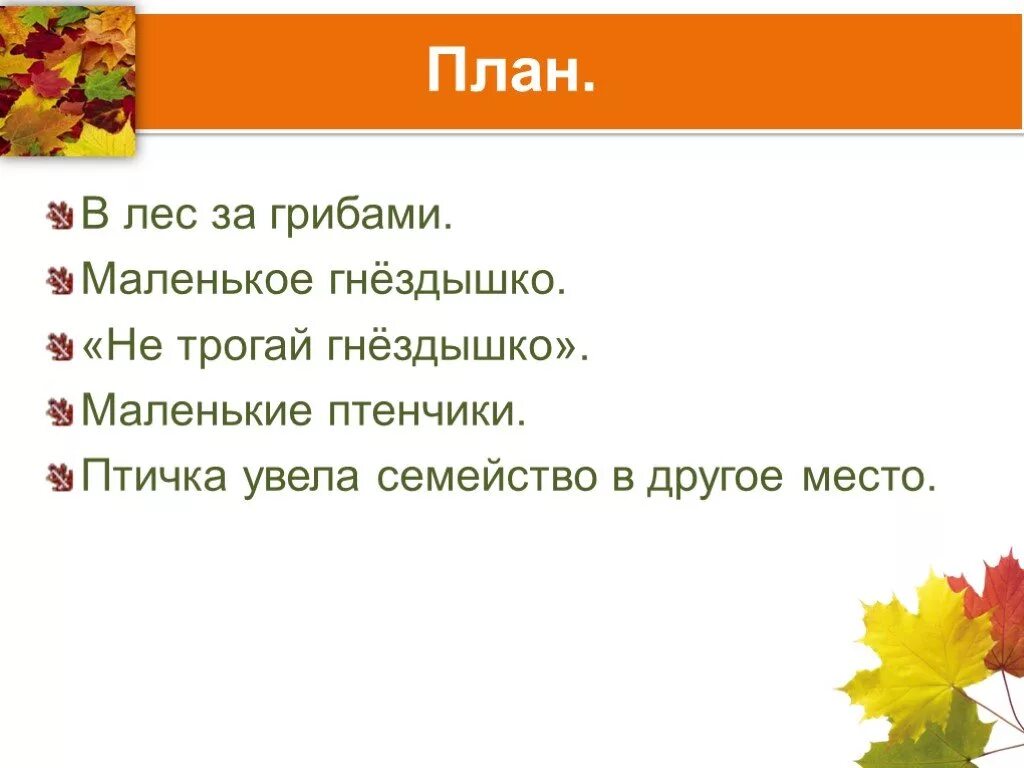 План как был в лесу летом. План летом в лесу. Летом в лесу сочинение. Рассказ как я был в лесу летом. Рассказ я был в лесу летом.