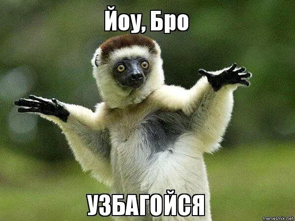 Так давай успокойся. Успокойся. успокойся прикол. успокойся мем. лемур узбагойся.
