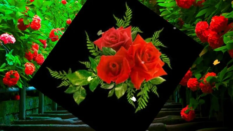Дарите женщине цветы суручану. Дарите женщине цветы суручану. Девушка рада цветам. Суручану с женой. Дарите женщине цветы суручану.