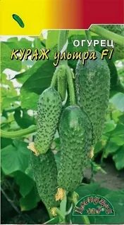Кураж огурцы описание отзывы сорт характеристика