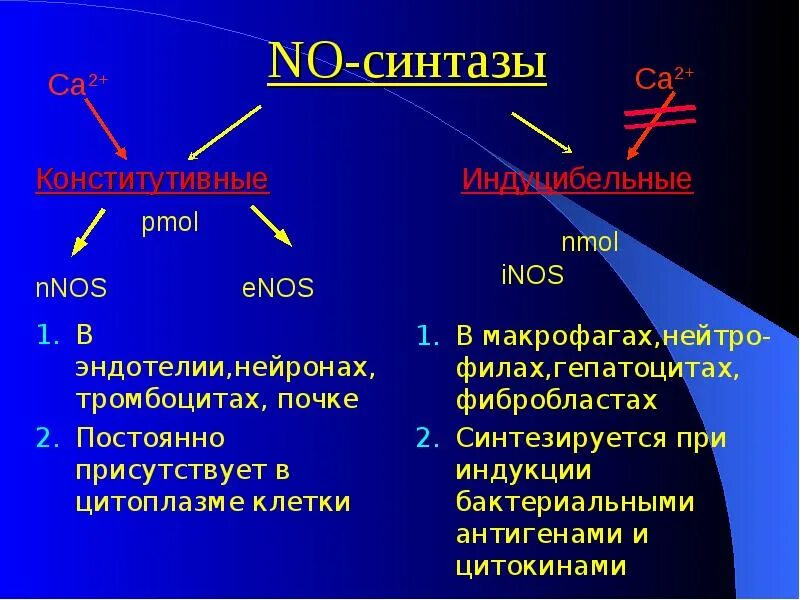 Роль оксида азота. Физиологическая роль оксида азота. Роль монооксида азота физиологическая. Роль оксида азота в организме.