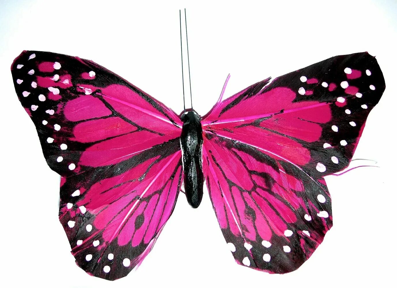 Бабочки вб. Красивые бабочки. Розовые бабочки. Бабочки на белом фоне. Бабочки красивые цветные.
