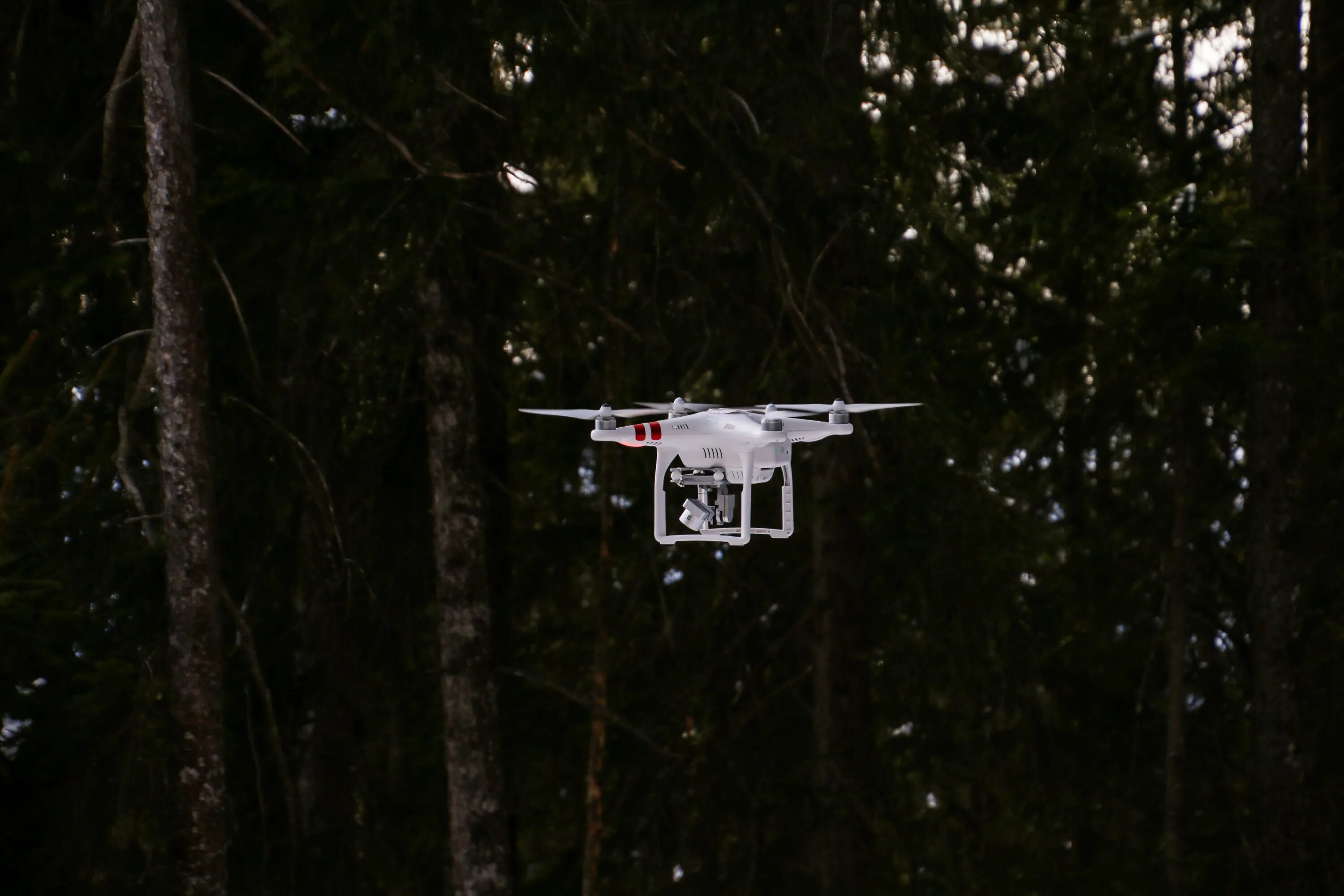 Беспилотник в темноте. Квадрокоптеры над лесом. Квадрокоптер для леса. БПЛА В лесу. БПЛА над лесом.