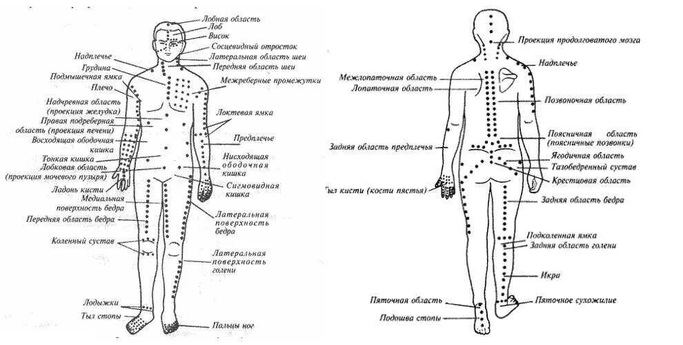 Точечный массаж спины. Акупунктурные точки на теле человека для массажа. Акупунктура схема точек на теле. Схема точек акупунктуры на теле человека. Акупунктура тела человека схема болевые точки.