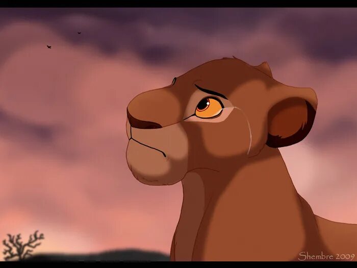 Сараби. Король лев мохату. Сараби спешл сервис отзывы. Король лев сараби. Король лев сараби и её сестры.