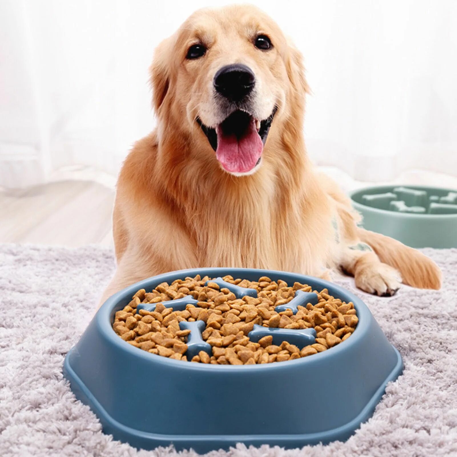 Pet bowl. Large dog bowl?. Миска для собак. Dog bowl. Миска с кормом для собак.