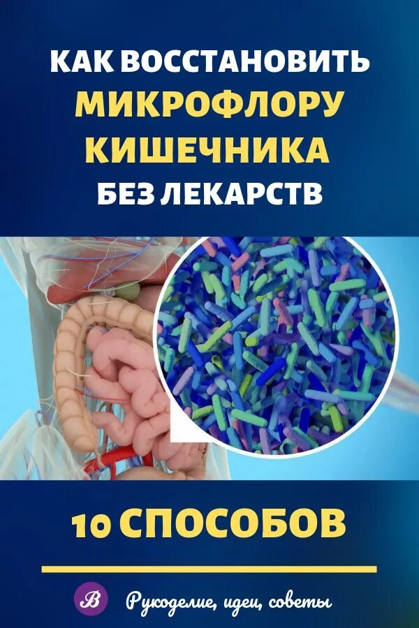 Микрофлора кишечника народными средствами. Восстановить микрофлору кишечника. Для восстановления микрофлоры кишечника. Таблетки восстанавливающие микрофлору кишечника. Для восстановления кишечной микрофлоры.