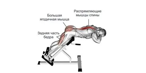 Гиперэкстензия какие мышцы работают
