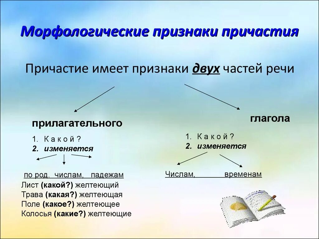 Что такое морфологические признаки прилагательного. Причастие как часть речи. Причастие как часть речи 7 класс. Морфологические особенности причастия. Морфологические признаки причастия.