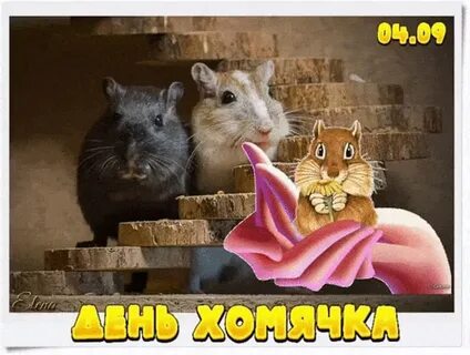 День хомяка 12 апреля картинки
