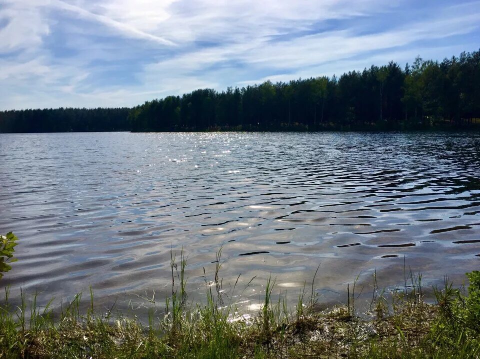 озеро зеркальное залесный. база отдыха зеркальный лес. озеро зеркальное ленинградская область. озеро зеркальное ленинградская область. погода зеркальное ленинградская область.