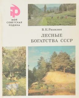 Литература лес