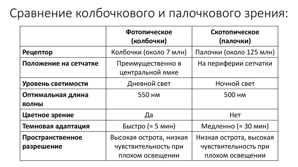 Заполнить таблицу сходство и различие