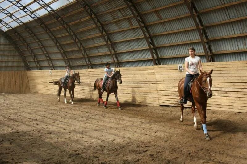 дольче зара чехов конюшня. коломенское конюшня. кск битца лошади. конный комплекс ямное воронеж. русь конно-спортивный центр молоково.