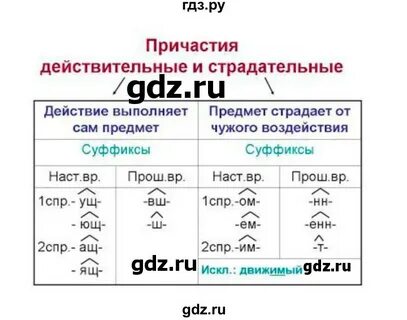 Русский язык 5 класс 334
