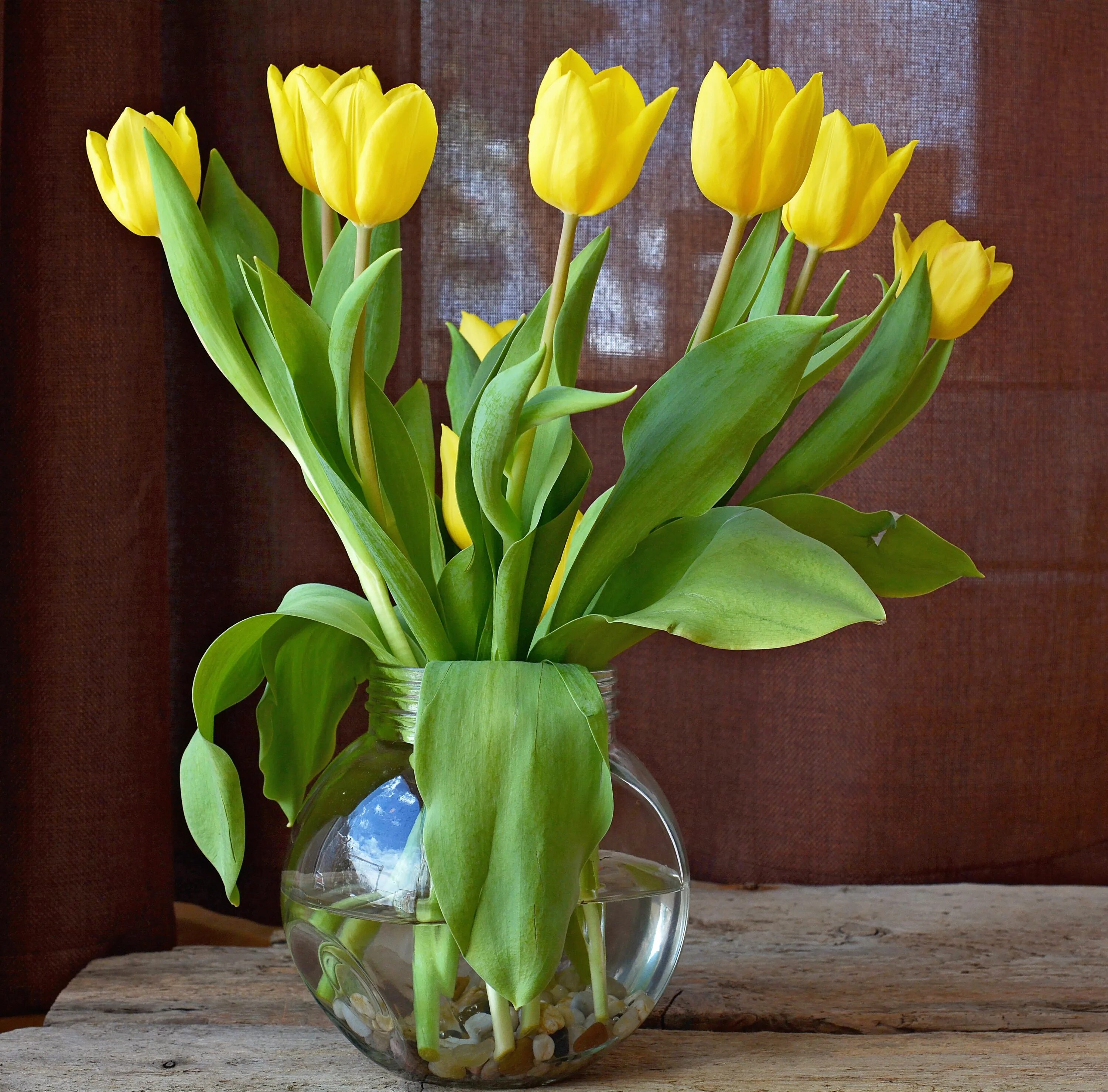Как сохранить свежие тюльпаны в вазе. Ваза с тюльпанами. Тюльпаны в вазе. Букет тюльпанов. Цветы тюльпаны в вазе.