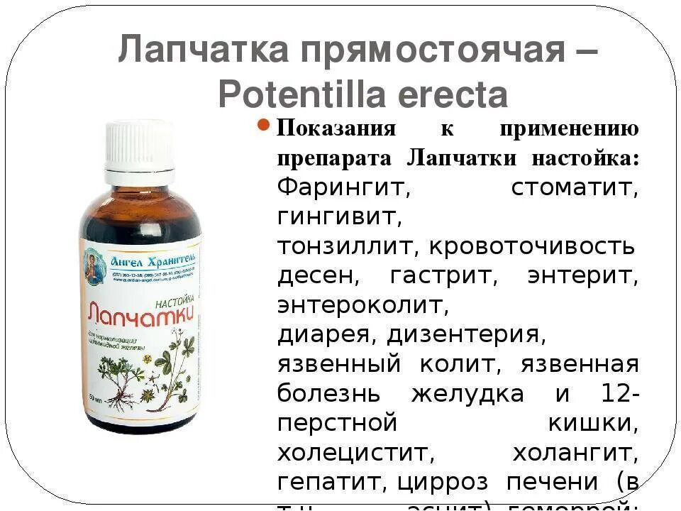 Сколько можно хранить отвар
