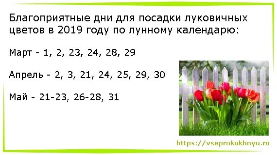 Дни благоприятные для посадки луковичных цветов. Благоприятные дни для посадки луковичных. Лунный календарь для посадки луковичных. Благоприятные дни для посадки цветов в октябре.