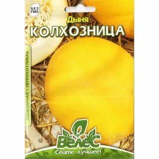 Дыня колхозница отзывы