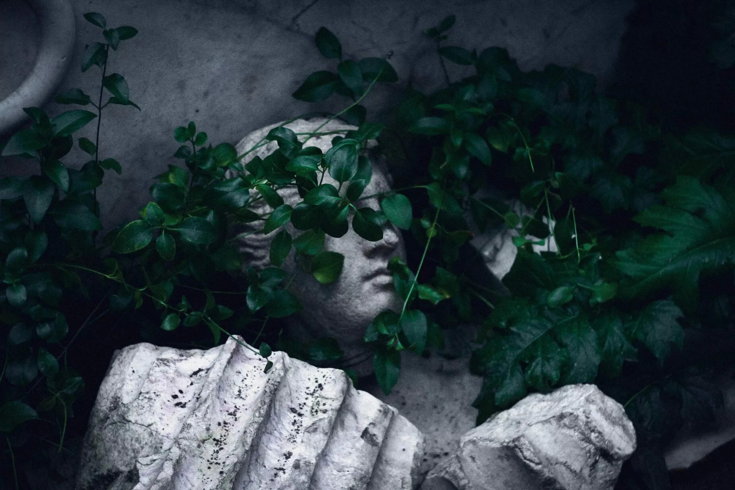 Качественная эстетика. Растения эстетика. Розовый закат. Горы эстетика. Качественная эстетика.