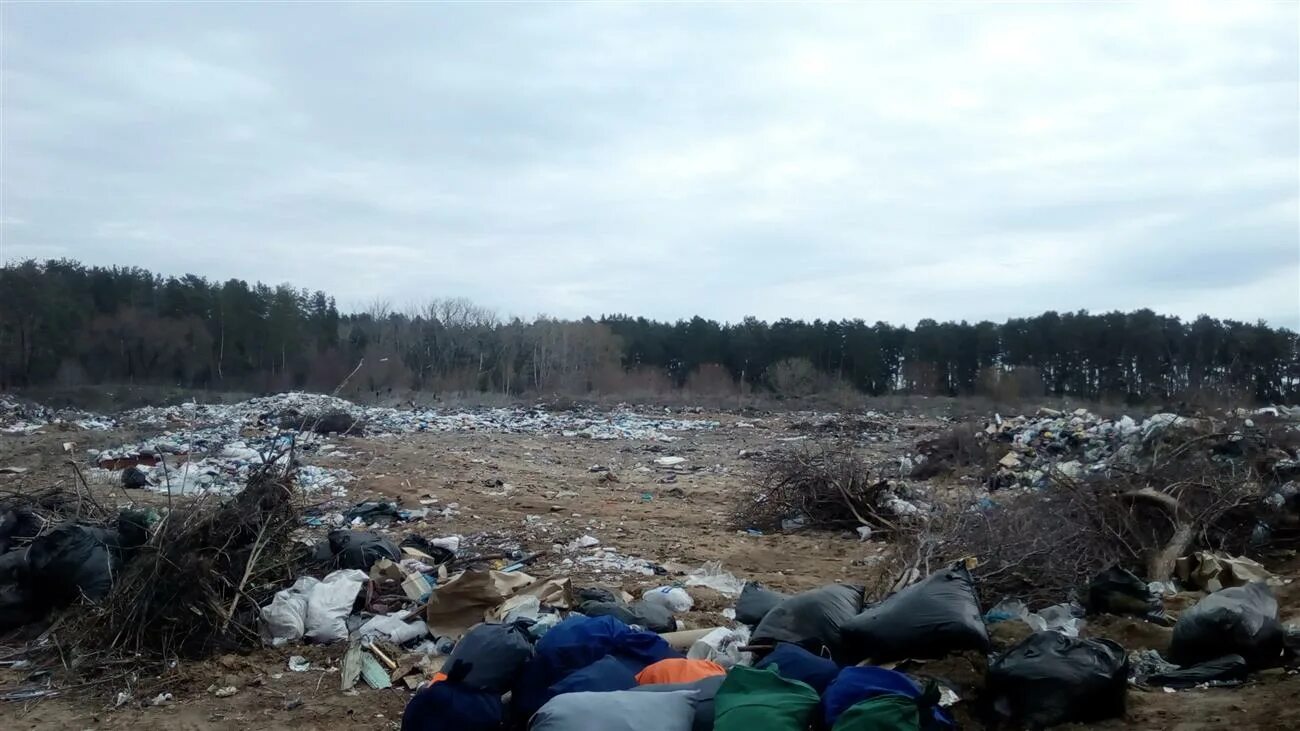 Ситуация в самарской области. Загрязнение Самарской области. Свалки Самарской области. Экологические проблемы Самары. Состояние экологии в Самарской области.