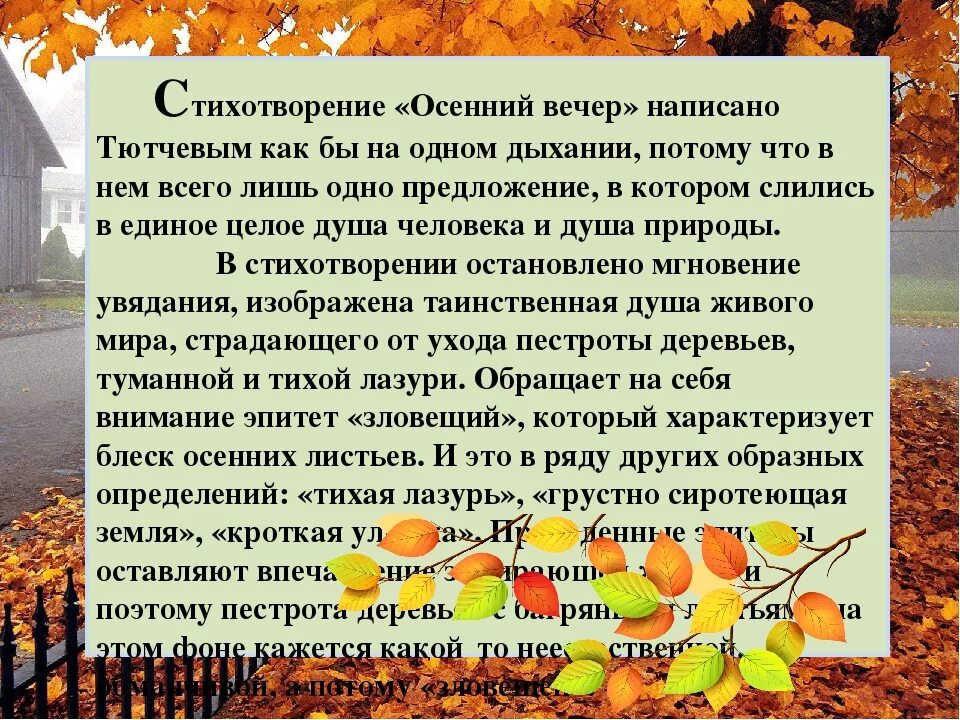 Анализ стихотворения осенний. Анализ стихотворения Тютчева осенний вечер. Анализ стихотворения осенний вечер. Тютчев осенний вечер анализ стихотворения. Осенний вечер Тютчева анализ.