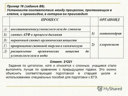 Восстановление углекислого газа до глюкозы синтез атф