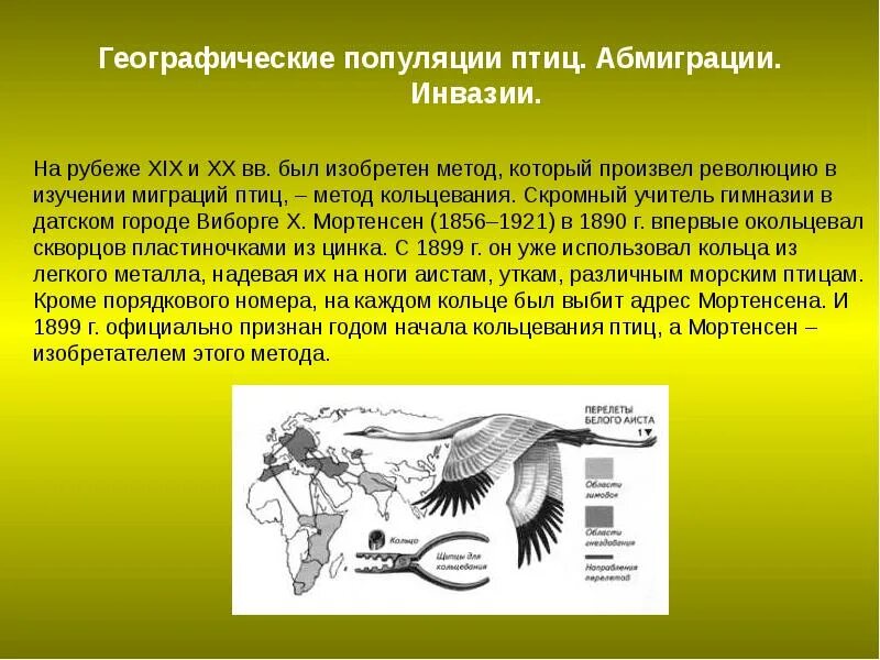 Жизнь мигрирующих и оседлых птиц. Миграция птиц презентация. Сообщение о миграции птиц. Сообщение о сезонных миграциях птиц. Методы изучения птиц.