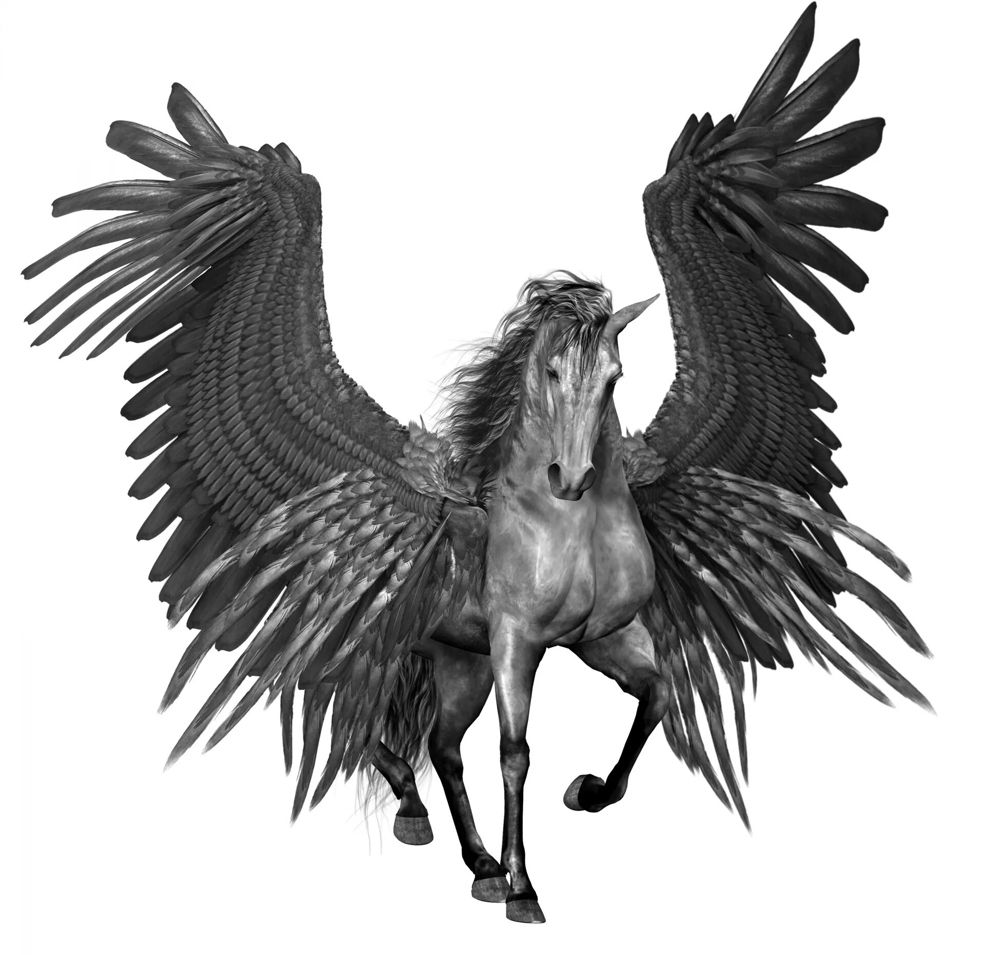 Winged horse. Белая лошадь с крыльями. Лошадь с крыльями без фона. Черная лошадь с крыльями. Пегас лошадь.