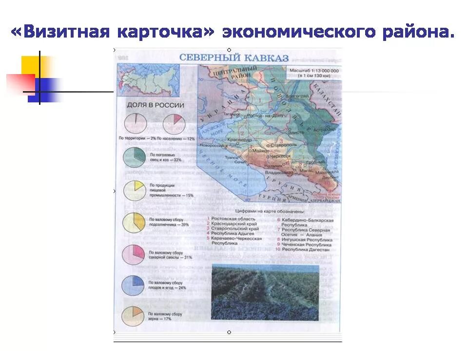 Презентация европейский юг россии 9 класс география. Визитная карточка европейского Юга. Европейский Юг состав района география. Европейский Юг визитная карточка района. Европейский Юг карточка района.