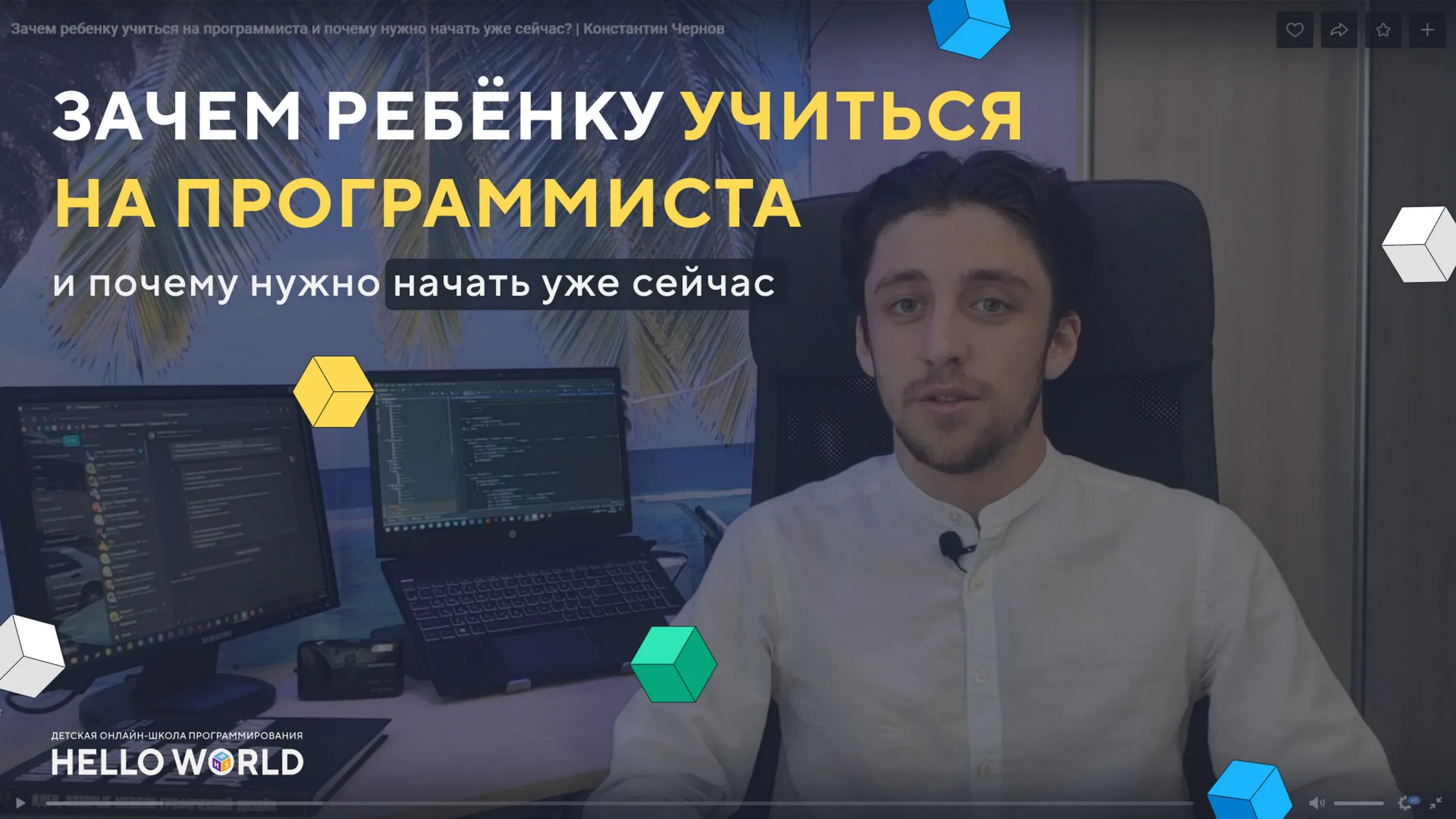 Почему программист. Почему программист