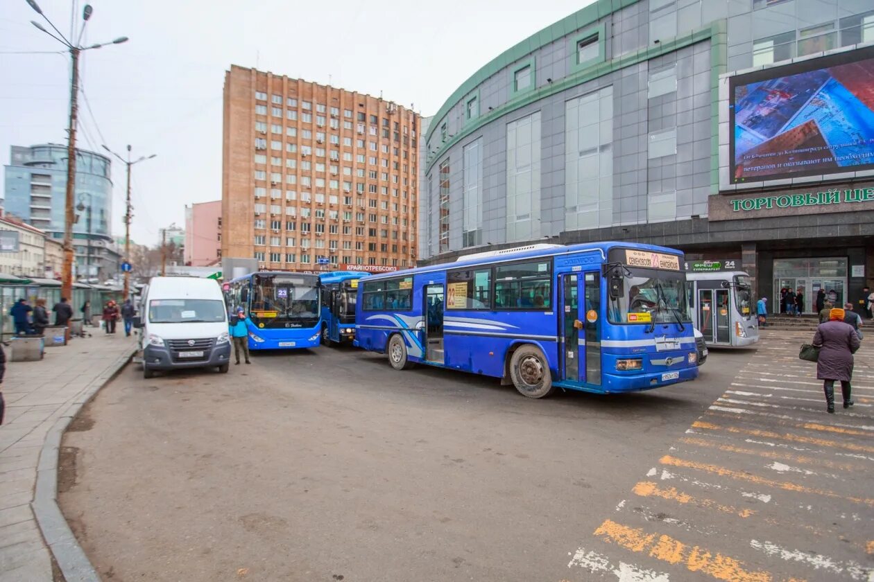 Транспорт автобусы владивосток. Автобус 99 Владивосток. Владивостокский автобус. Общественный транспорт Владивостока. Автобус 97 Владивосток.