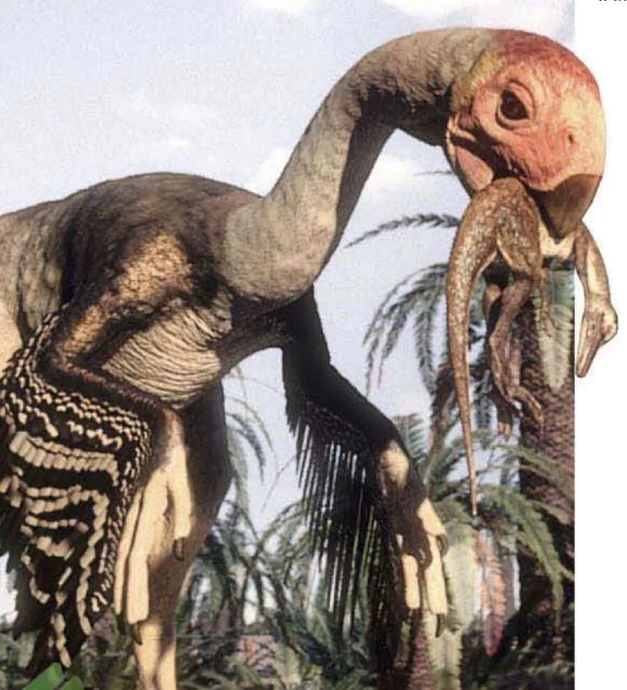 Гигантораптор. Agathaumas: gigantoraptor &amp; alectrosaurus. gigantoraptor planet dinosaur. гигантораптор эрлянезис,.
